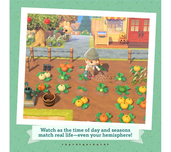 NINTENDO SWITCH Animal Crossing: New Horizons image number 4