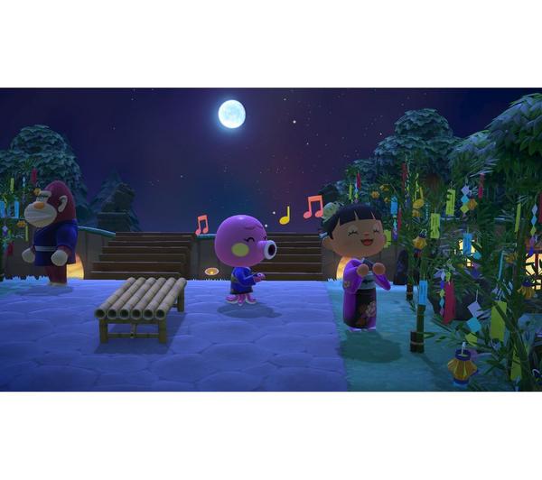 NINTENDO SWITCH Animal Crossing: New Horizons image number 23