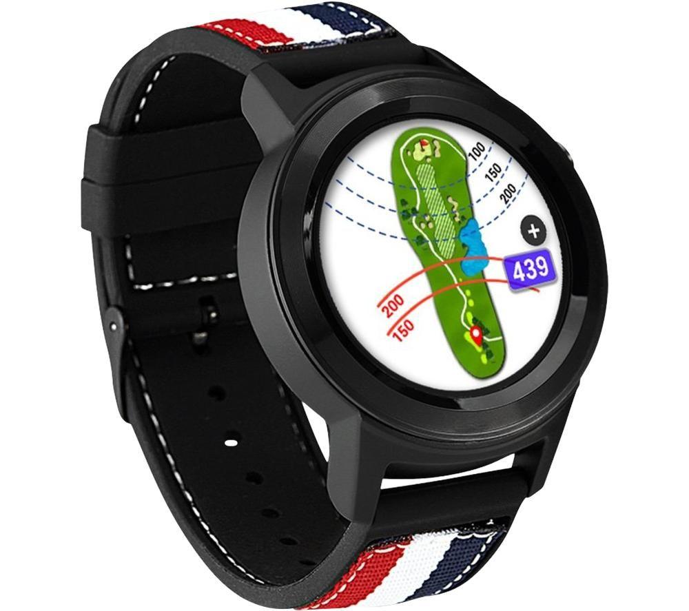 Garmin golf hot sale buddy