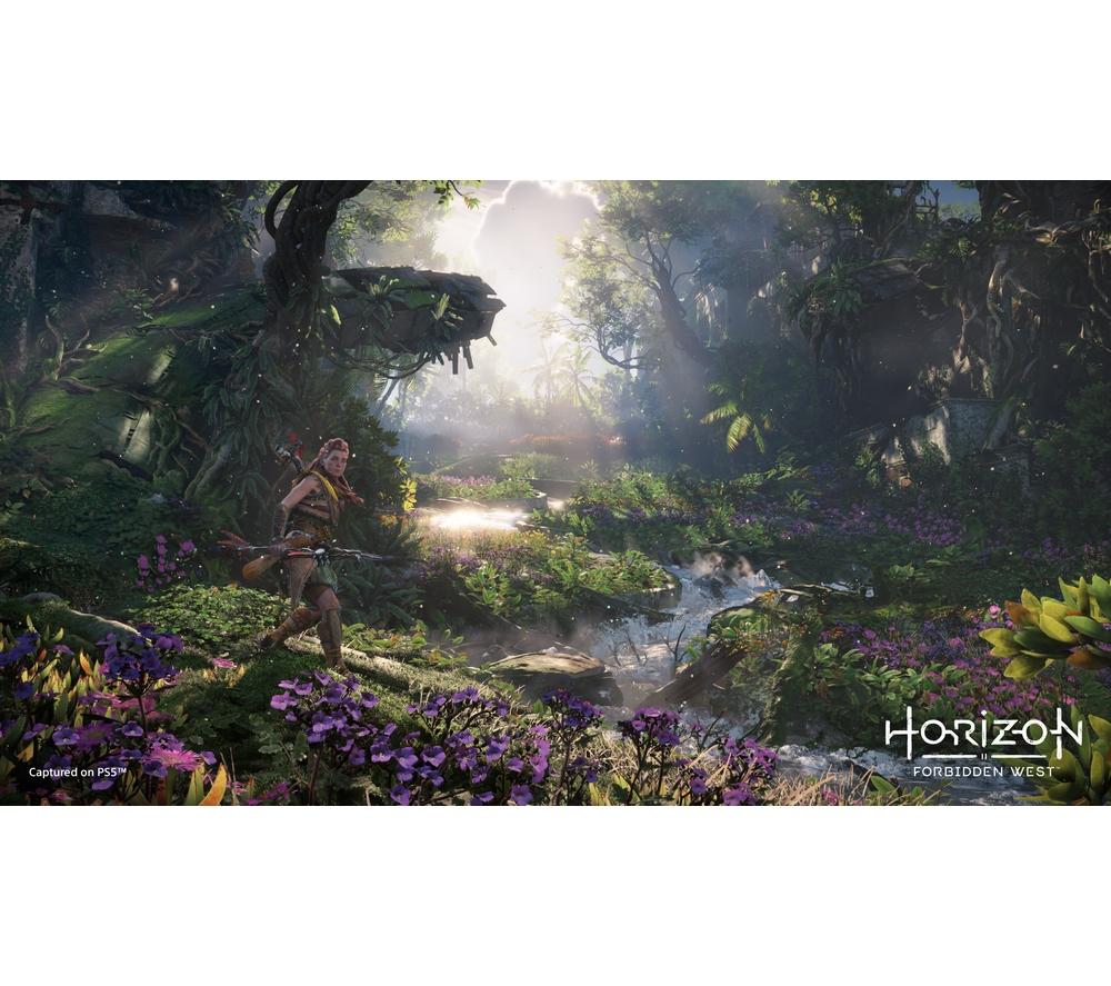 PLAYSTATION Horizon Forbidden West - PS5 image number 6 of 13