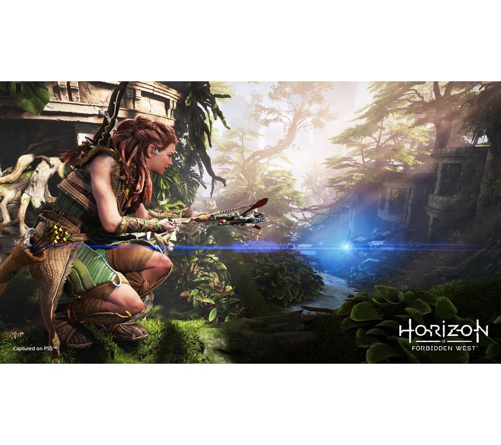 PLAYSTATION Horizon Forbidden West - PS5 image number 8 of 13