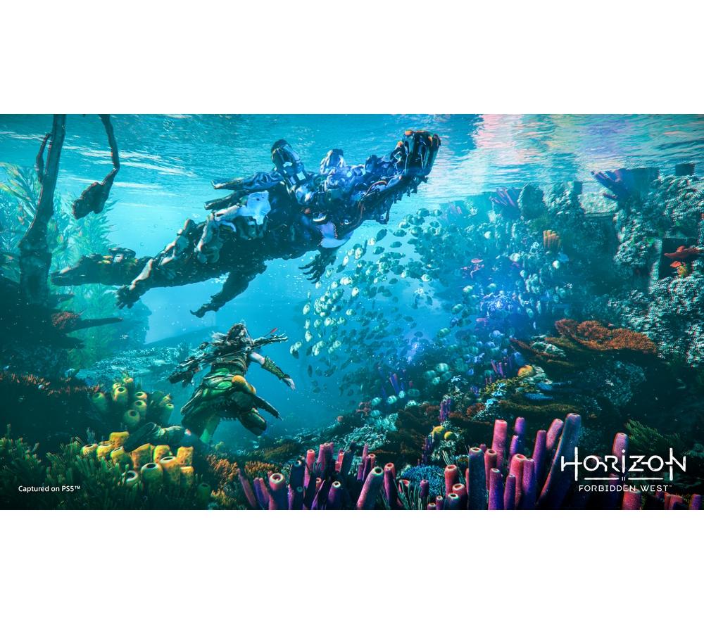 PLAYSTATION Horizon Forbidden West - PS5 image number 10 of 13