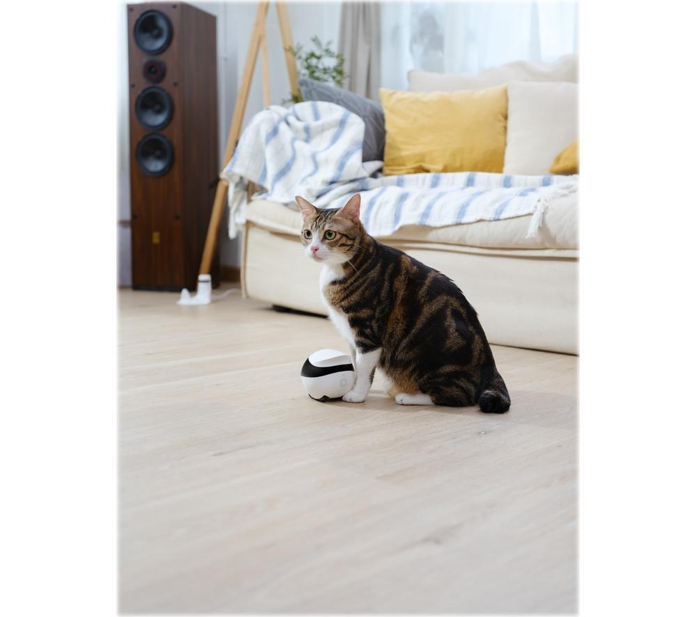 ENABOT EBO SE Smart Companion Robot image number 6 of 11