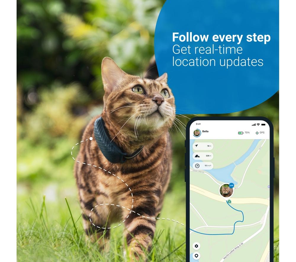 Tractive gps hot sale pet tracker