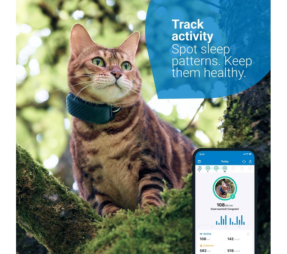 Tractive CAT Mini – GPS Tracker & Activity Monitor for Cats w