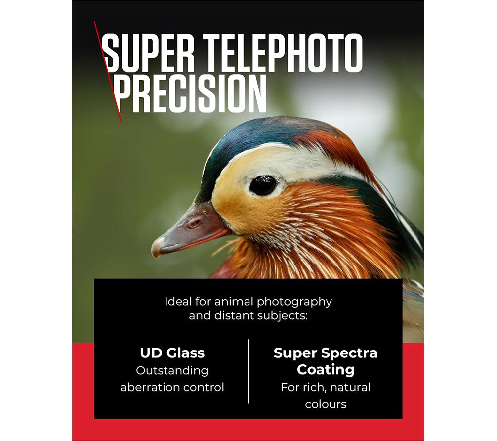 CANON RF 100-400 mm f/5.6-8 IS USM Telephoto Zoom Lens image number 7 of 10
