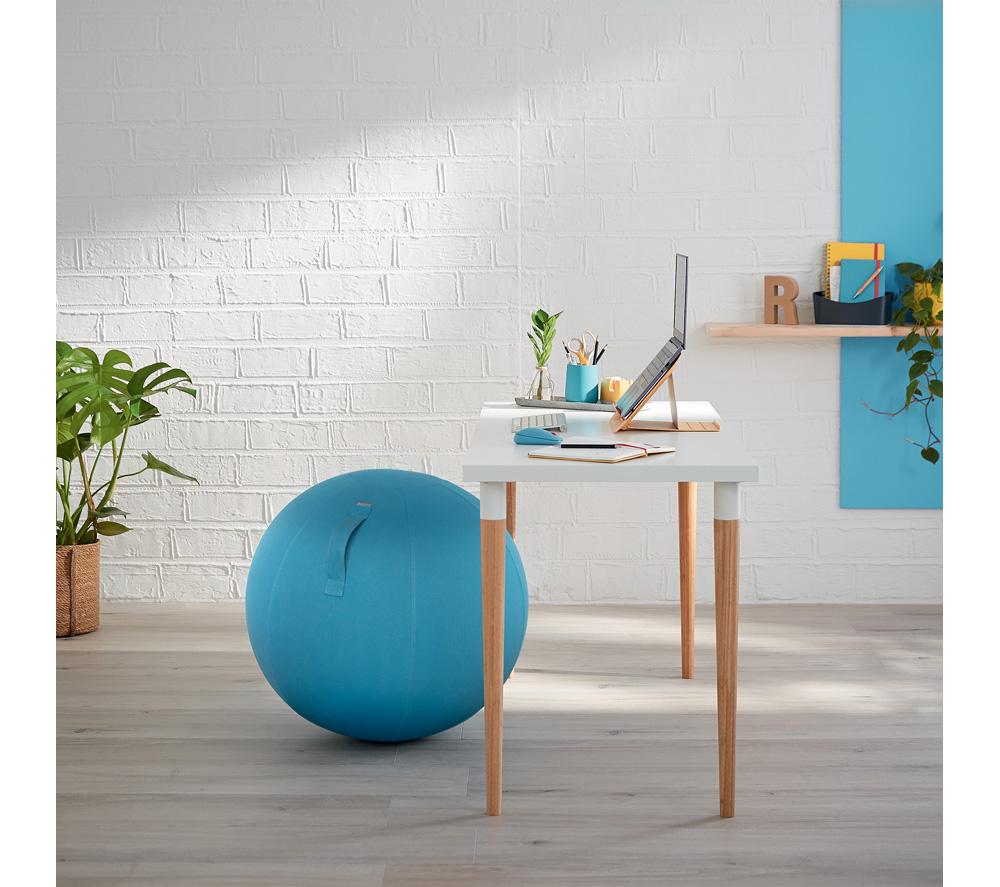 LEITZ Ergo Cosy Sitting Ball - Blue