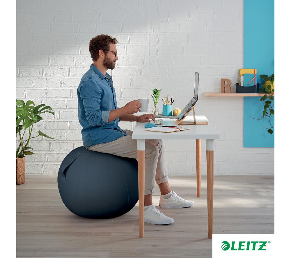 LEITZ Ergo Cosy Sitting Ball - Grey