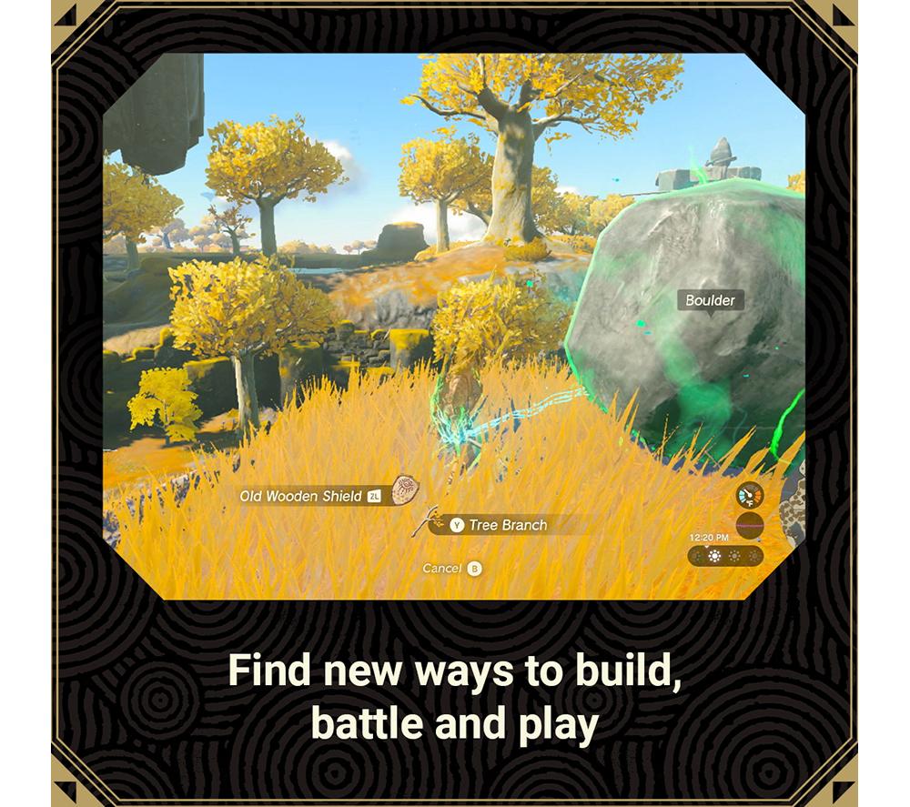 NINTENDO SWITCH The Legend of Zelda: Tears of the Kingdom image number 13 of 14