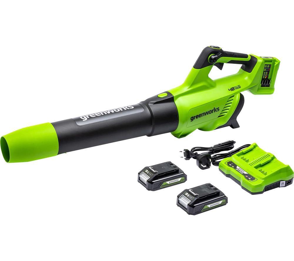 GREENWORKS GWG24X2ABK2X Leaf Blower with 2 Batteries - Black & Green