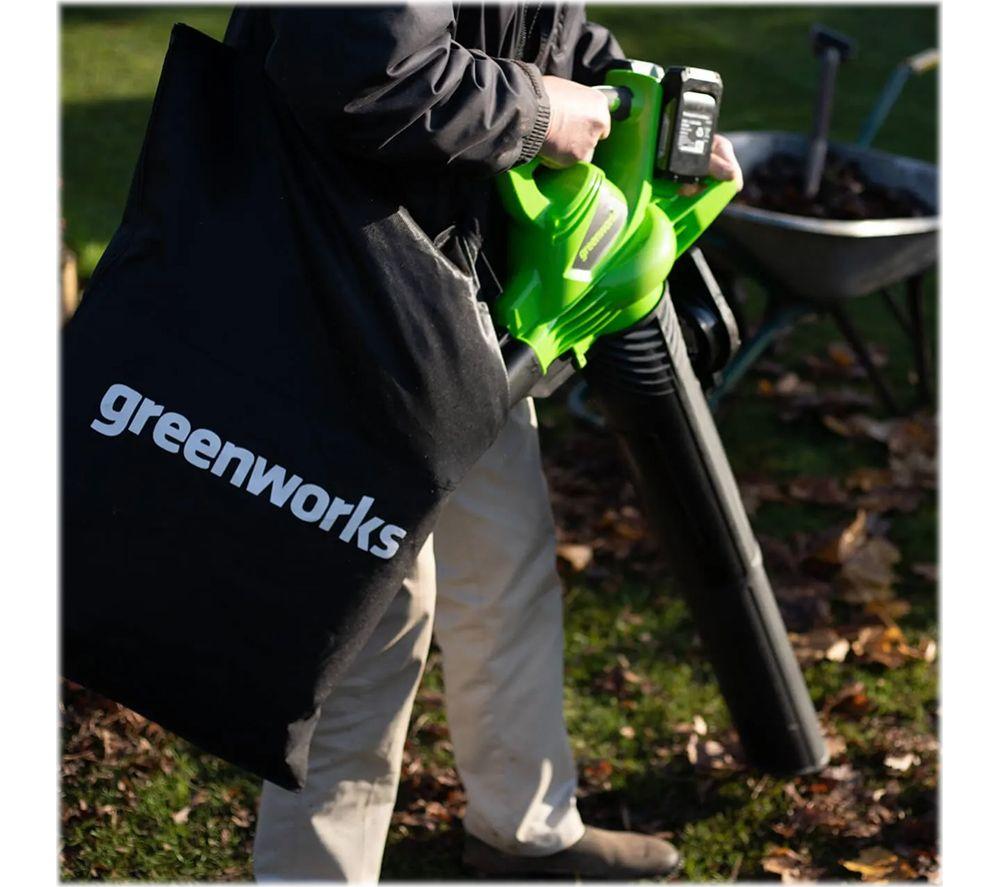 Buy GREENWORKS GD24X2BV Garden Vacuum & Leaf Blower - Black & Green