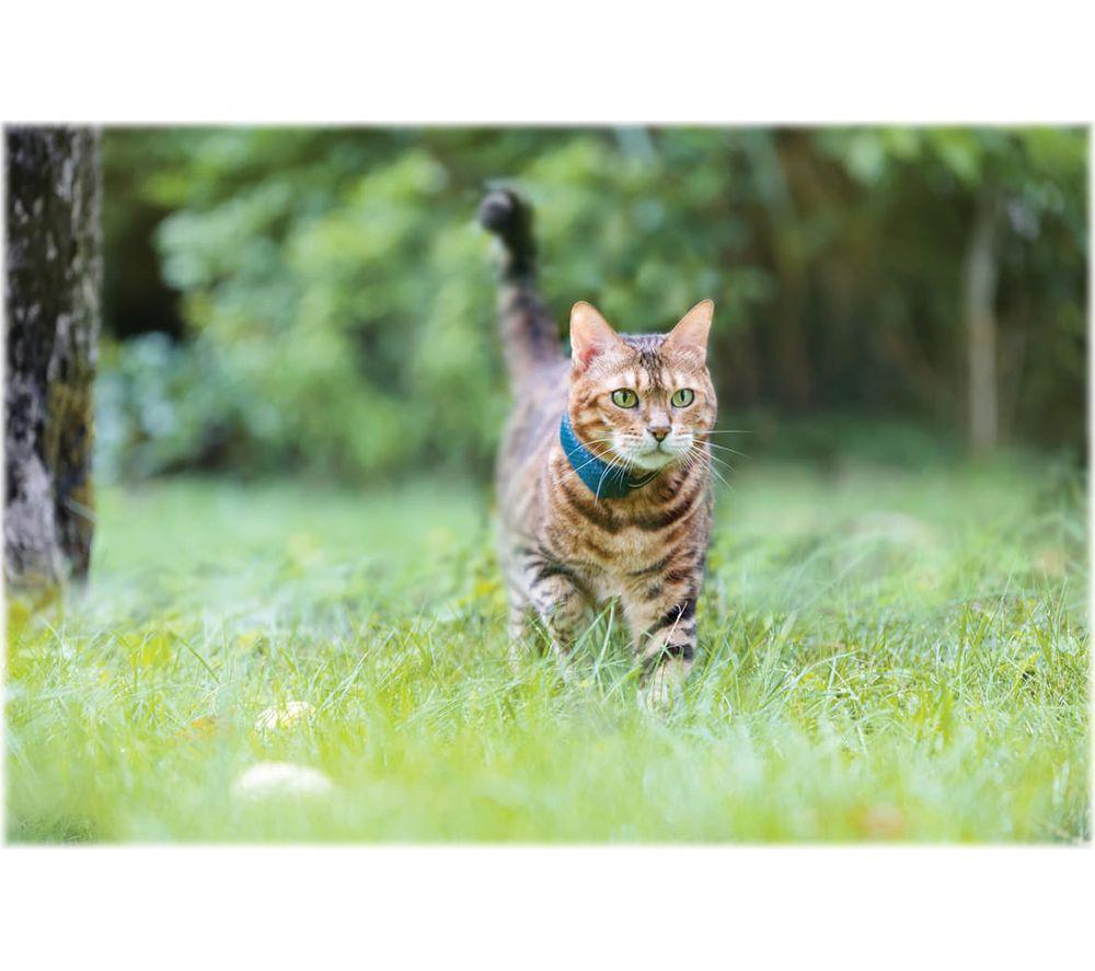 Tractive GPS Cat Tracker Mini