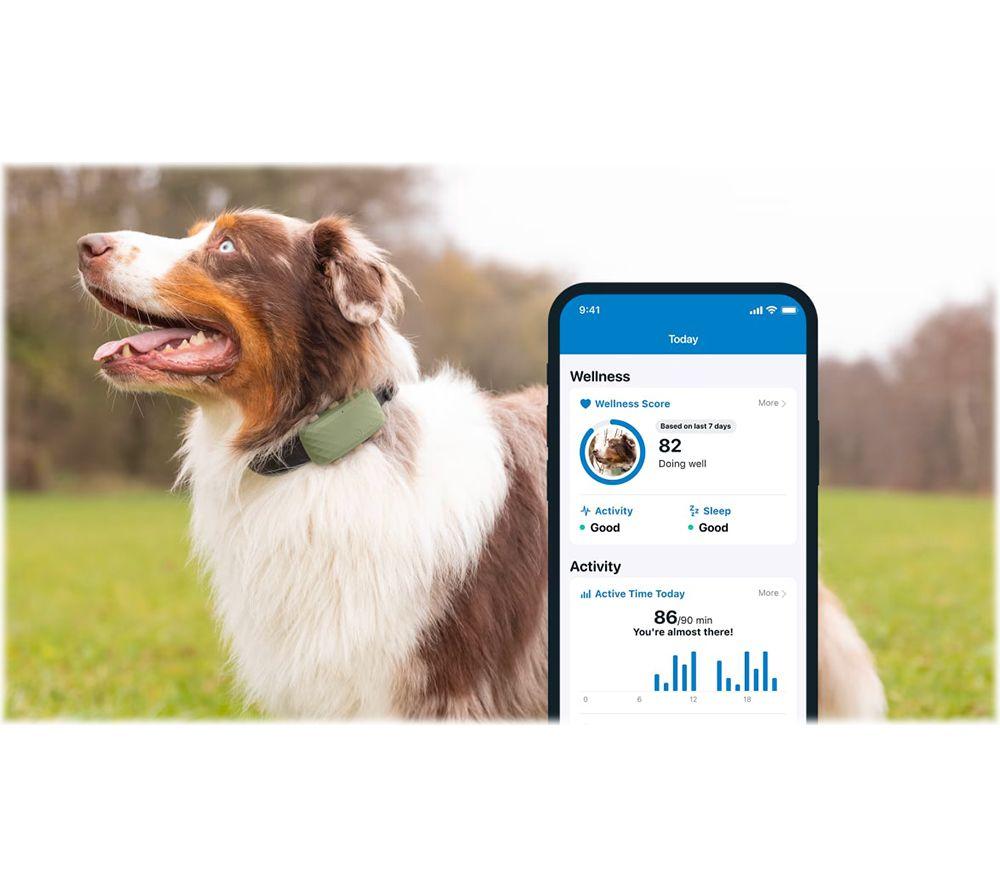 Tractive dog tracker outlet uk