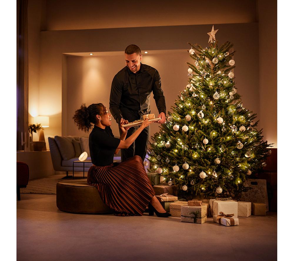PHILIPS HUE Festavia Smart LED Colour String Lights - 250 mini LEDs, 20 m image number 16 of 16