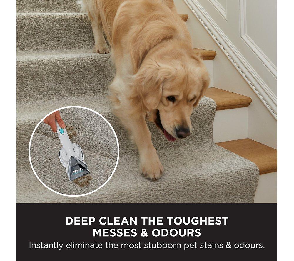 SHARK CarpetXpert with StainStriker EX200UK Upright Carpet Cleaner - White image number 6 of 9