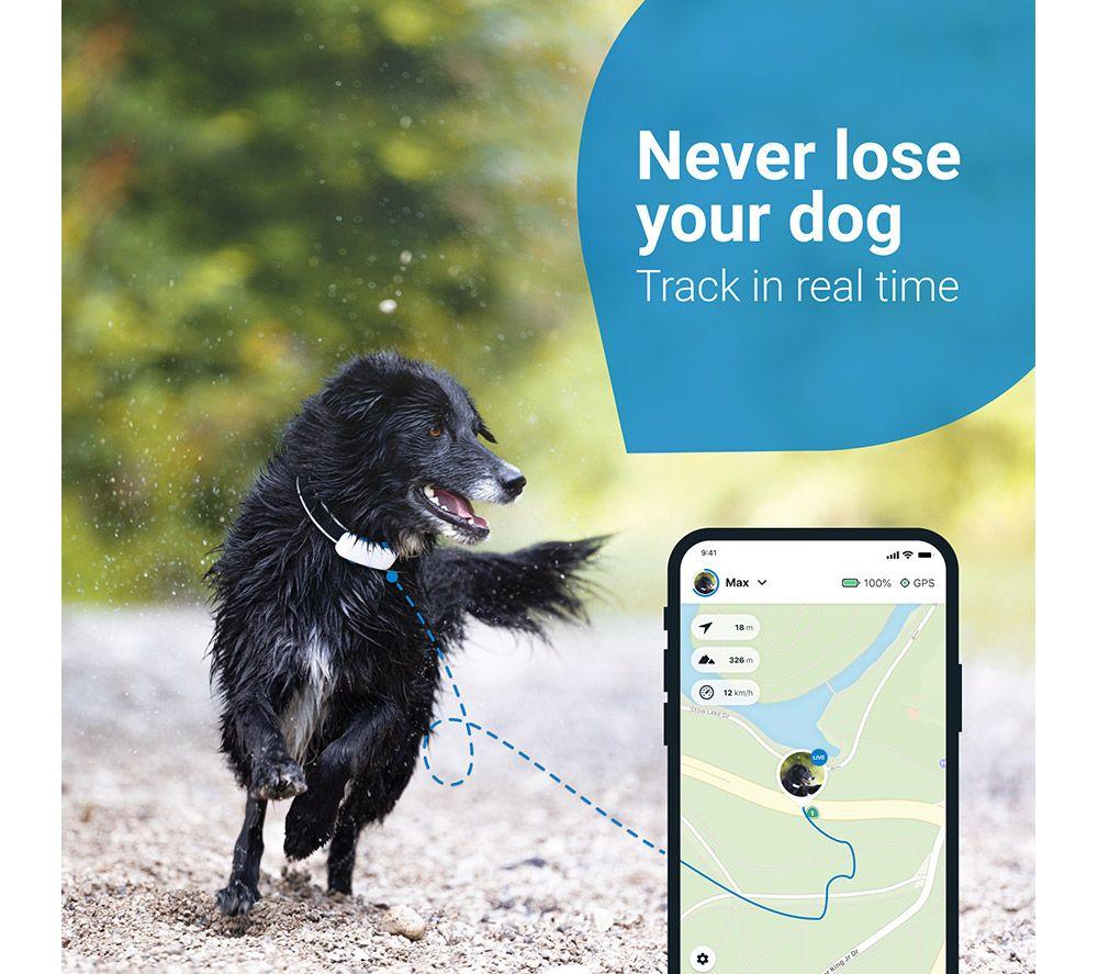 Tractive real shop time gps tracker