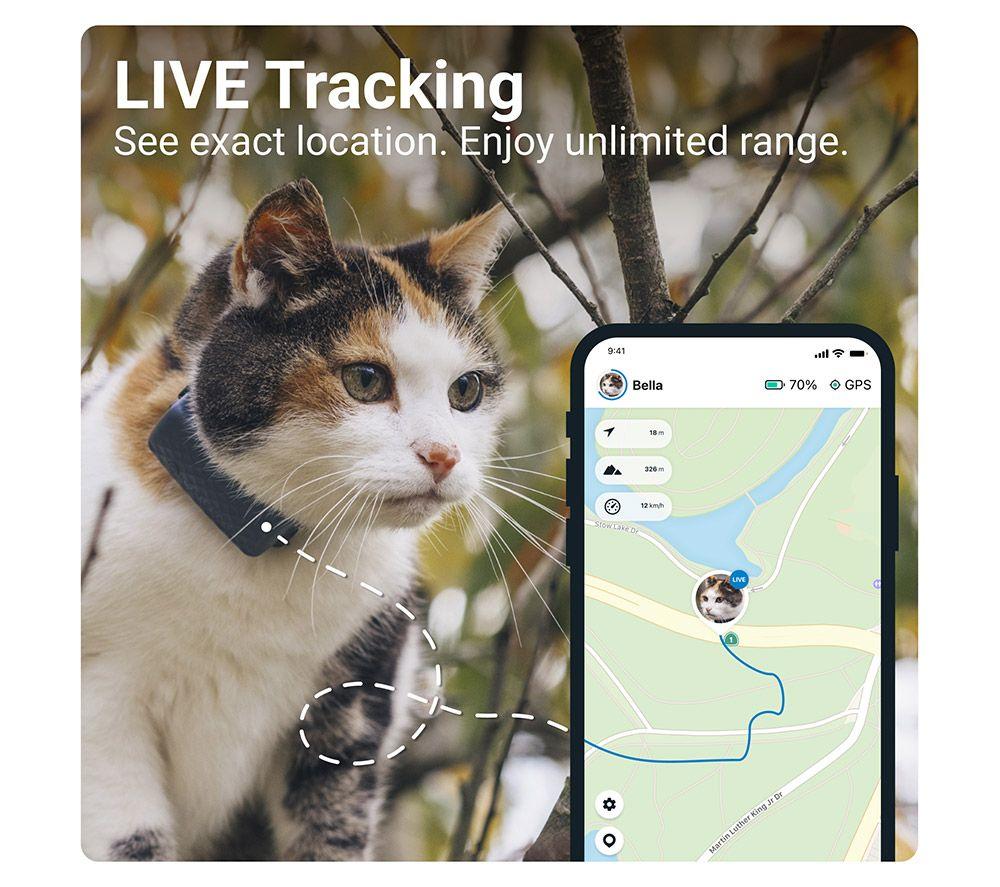 Best cat 2024 tracker uk