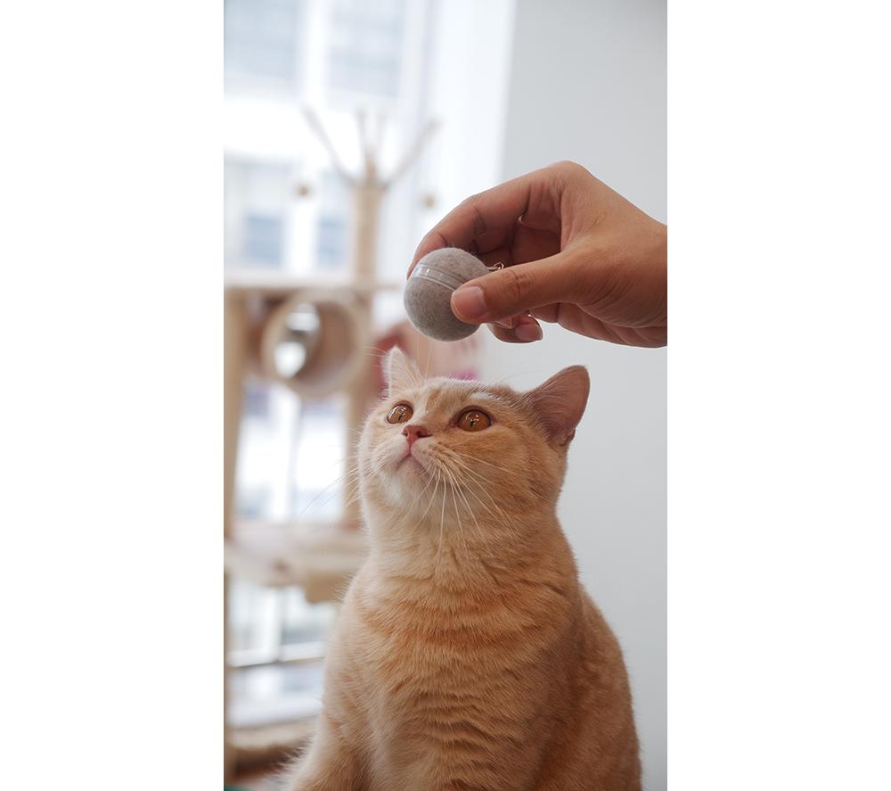 CHEERBLE M1 Smart Ball for Cats - Grey image number 4 of 11