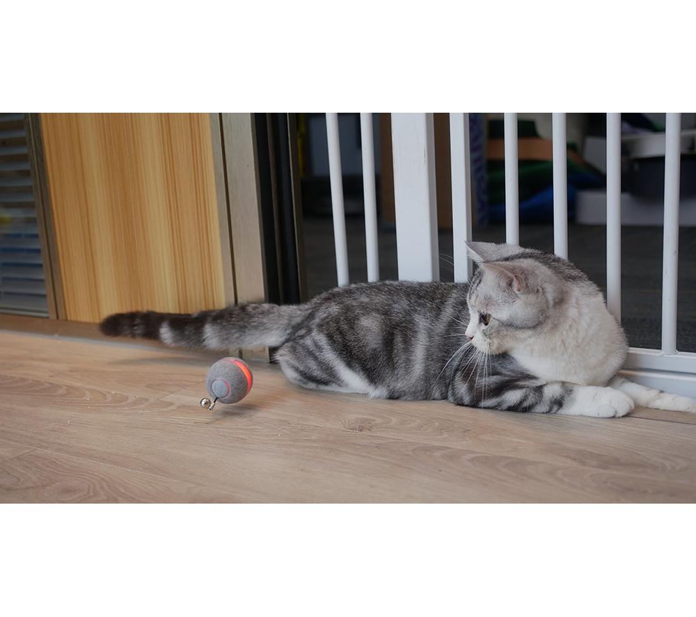 CHEERBLE M1 Smart Ball for Cats - Grey image number 5 of 11