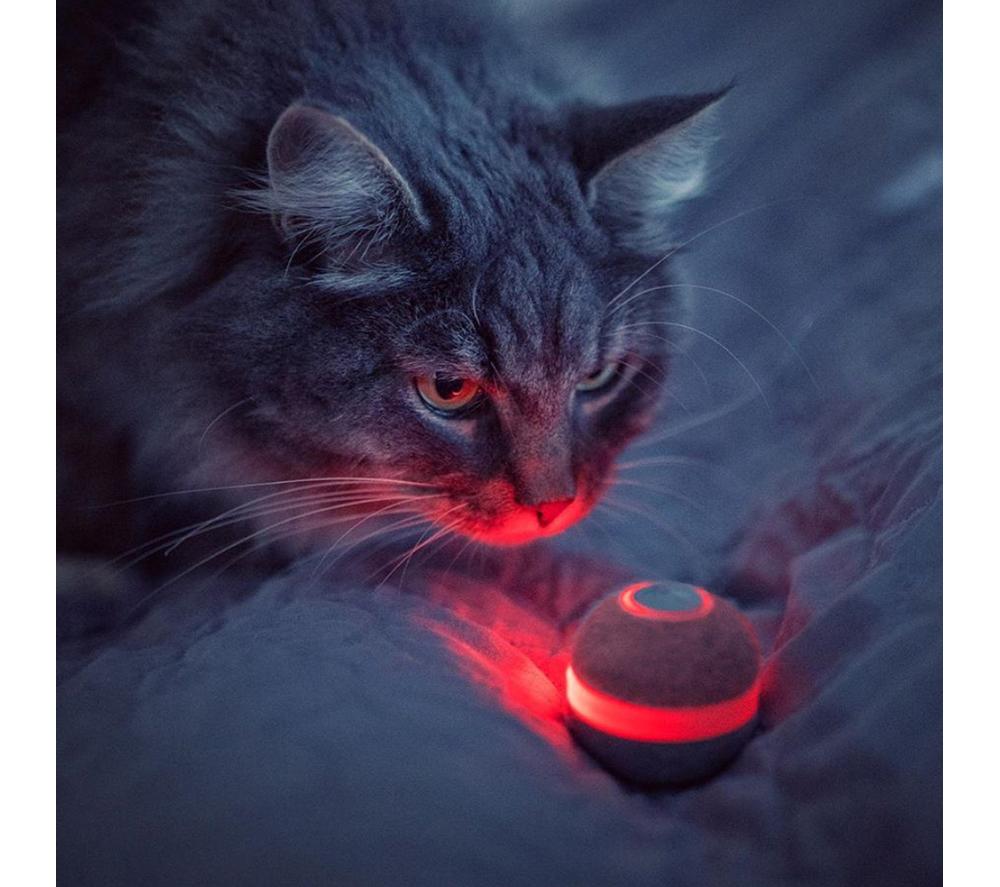CHEERBLE M1 Smart Ball for Cats - Grey image number 8 of 11