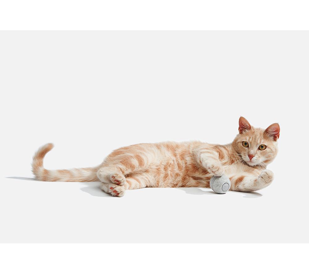 CHEERBLE M1 Smart Ball for Cats - Grey image number 11 of 11