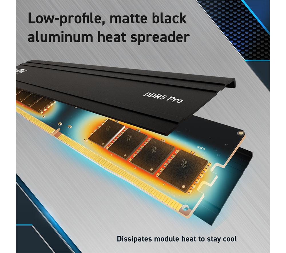 Buy CRUCIAL Pro 64 GB 5600 MHz DDR5 Memory Kit - 32 GB x 2 | Currys