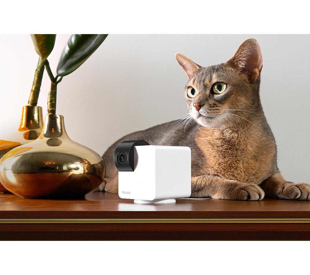 PETCUBE Cam 360 Smart Pet Monitoring Camera image number 4 of 5