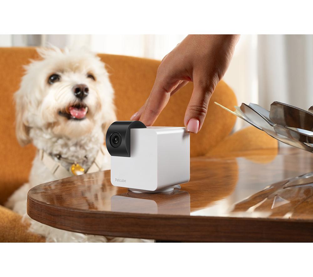Buy PETCUBE Cam 360 Smart Pet Monitoring Camera CurrysIE