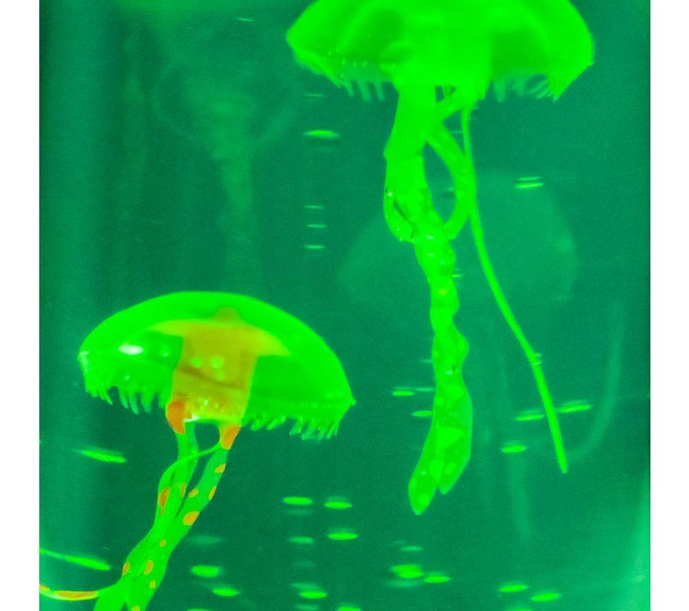 GLOBAL GIZMOS Jellyfish Water Bubble Lamp - Blue & Purple image number 4 of 5