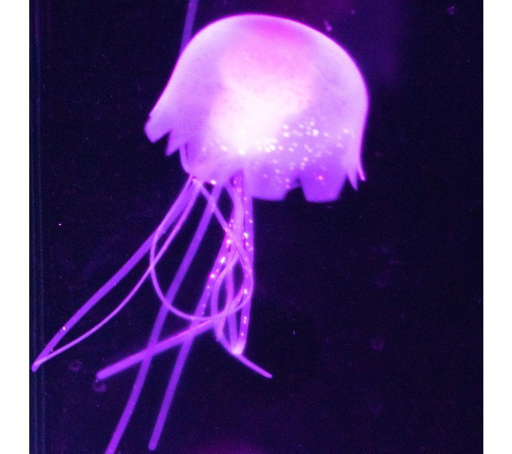 GLOBAL GIZMOS Jellyfish Aquarium Lamp - Black image number 4 of 6
