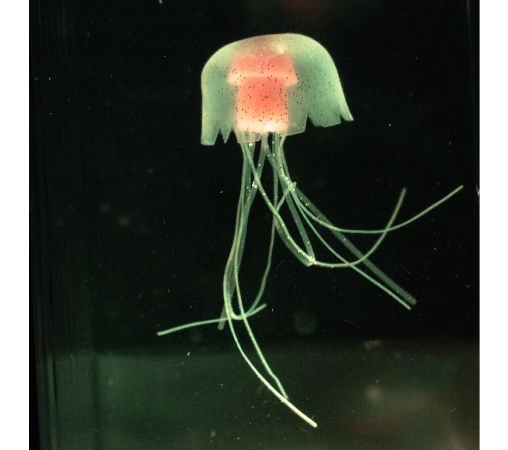 GLOBAL GIZMOS Jellyfish Aquarium Lamp - Black image number 6 of 6