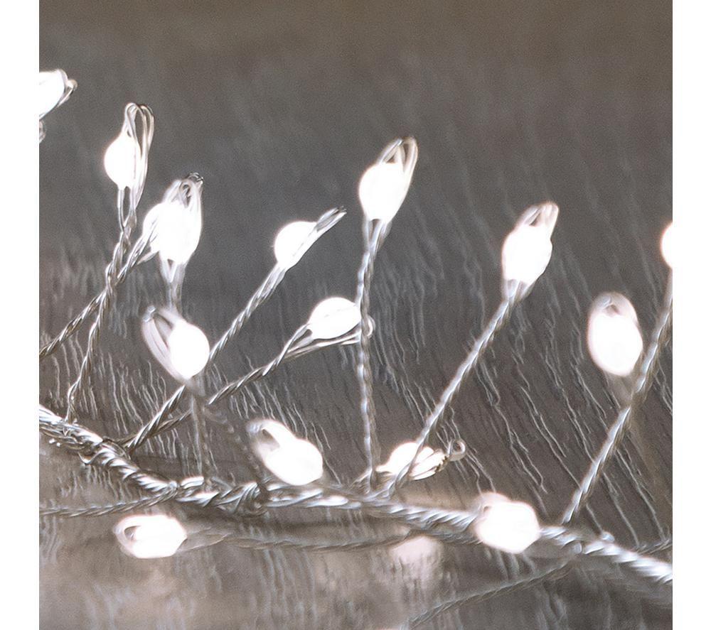 PREMIER Ultrabrights White LED Cluster Lights - 5.5 m image number 3 of 5
