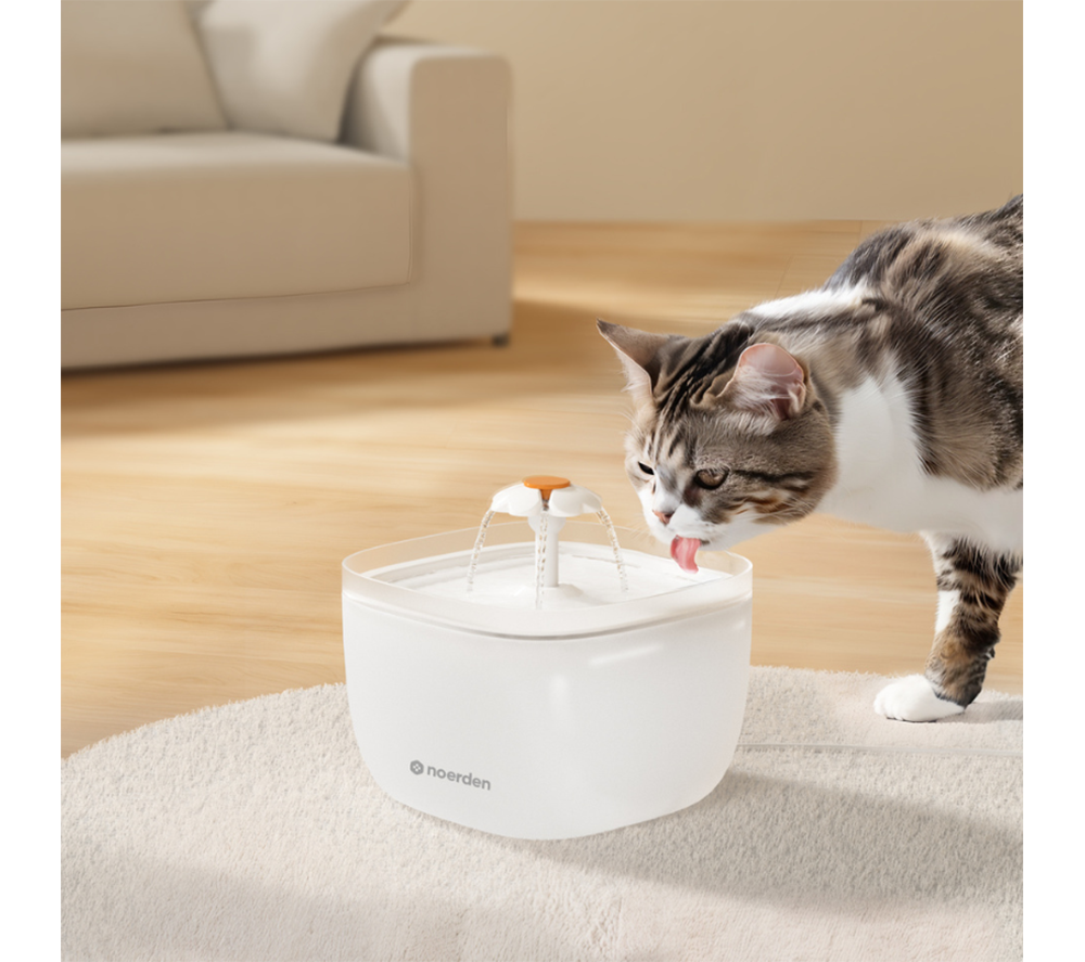 NOERDEN PawQuench Pet Water Fountain - White image number 8 of 15