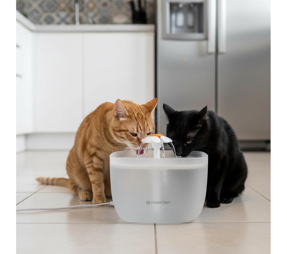 NOERDEN PawQuench Pet Water Fountain - White image number 15 of 15