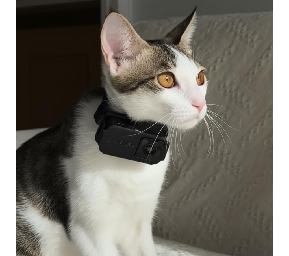 NOERDEN PETPOV Camera Pet Collar - Black image number 8 of 12