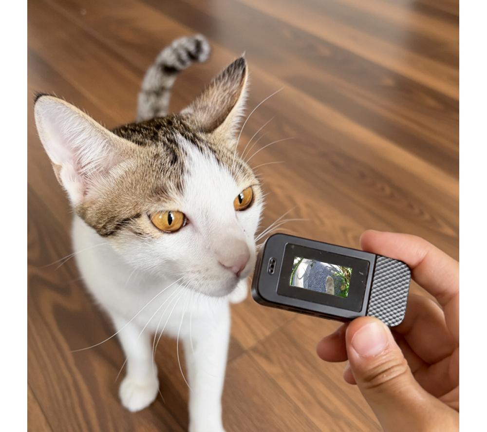 NOERDEN PETPOV Camera Pet Collar - Black image number 11 of 12