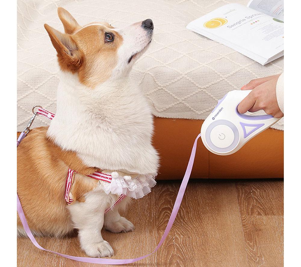 NOERDEN Flexi Retractable Pet Lead - Purple image number 5 of 6