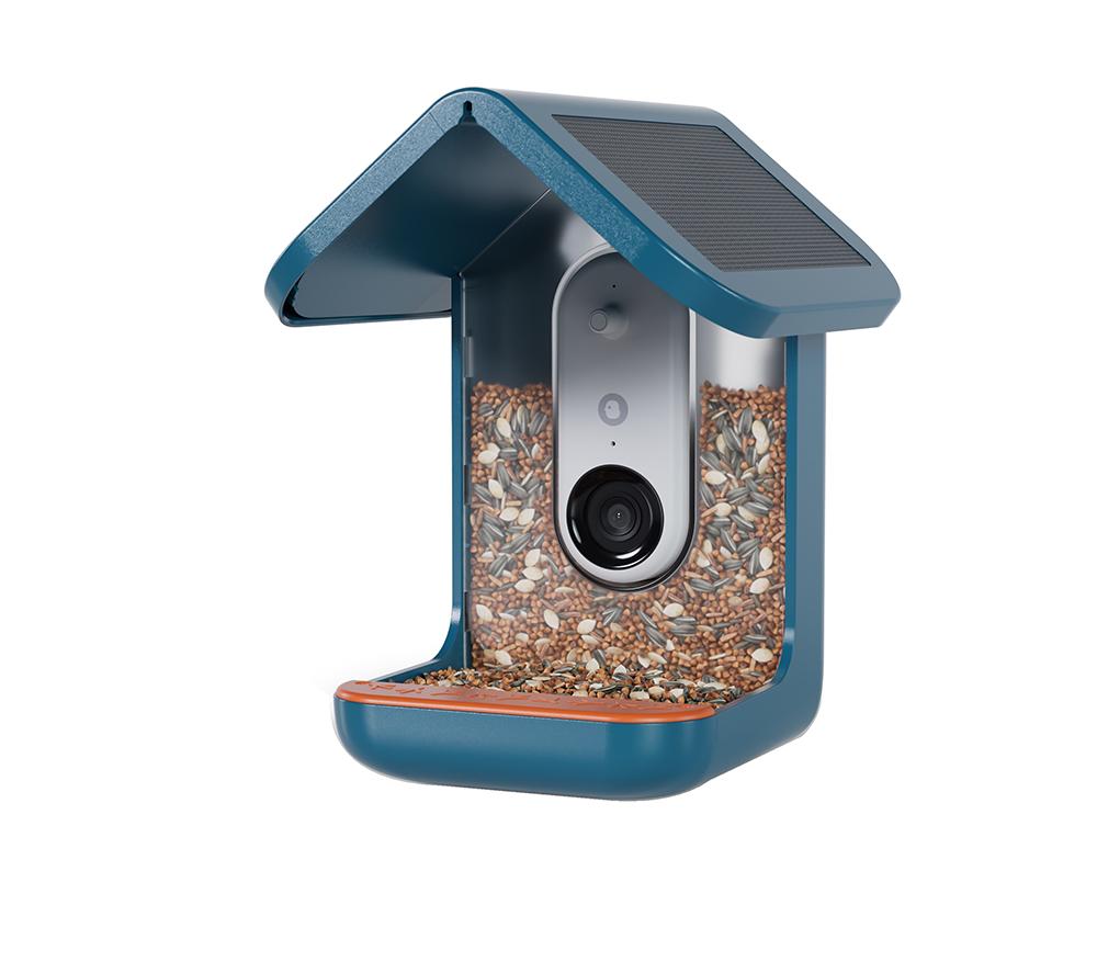 Buy BIRD BUDDY Smart Camera Bird Feeder with Solar Roof Blue