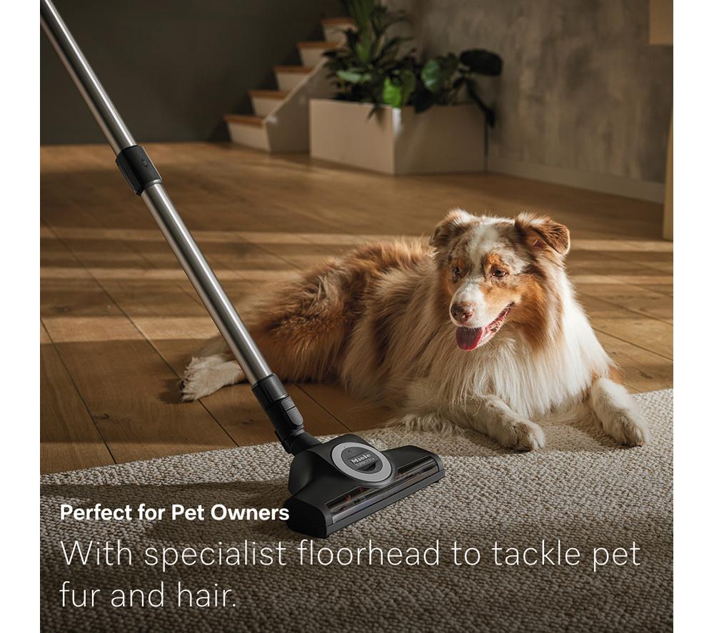 MIELE Guard M1 Cat & Dog Cylinder Bagged Vacuum Cleaner - Black image number 17 of 17