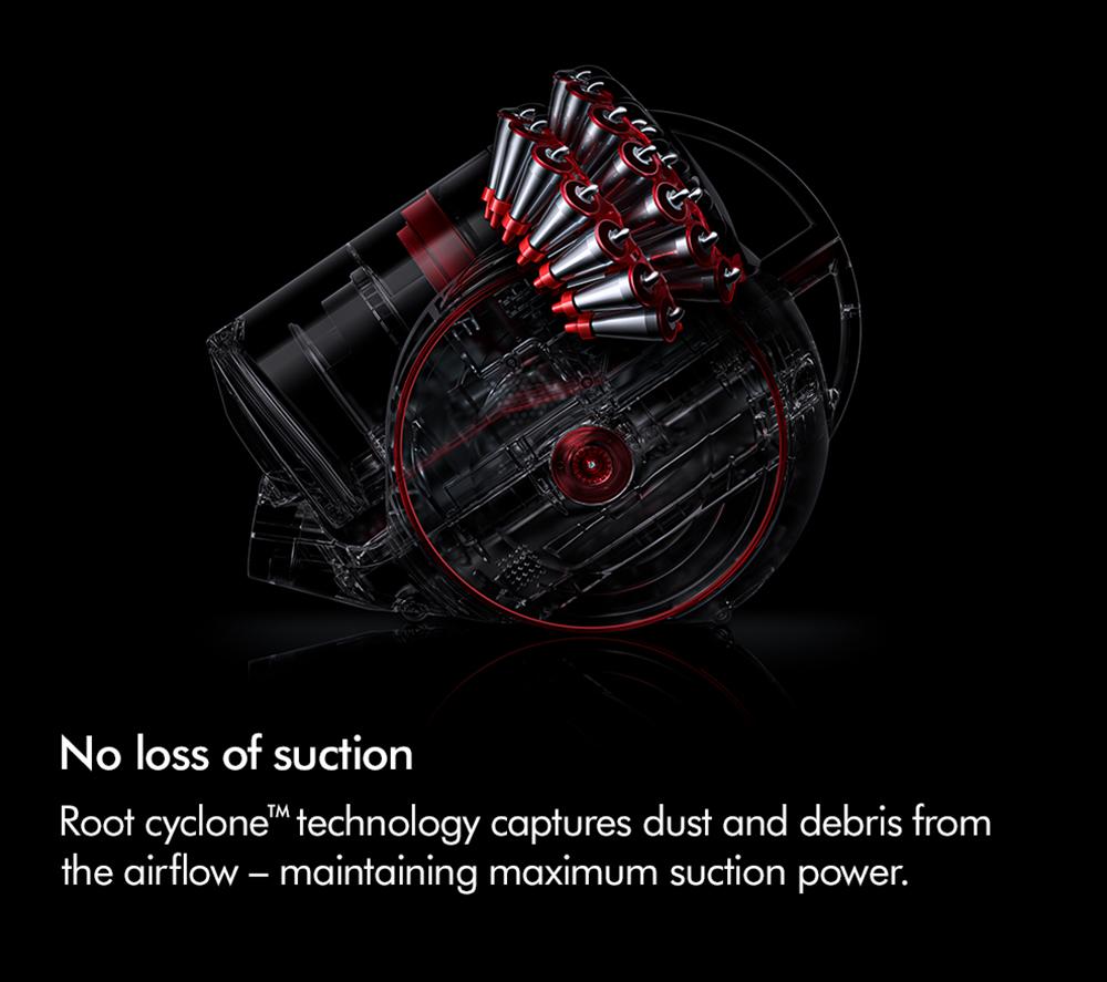 DYSON Big Ball Animal 2 Cylinder Bagless Vacuum Cleaner - Iron Sprayed Purple image number 3 of 13