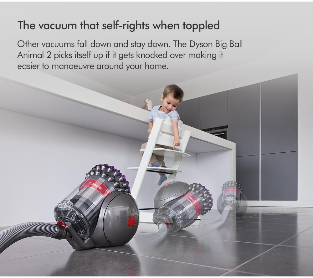 DYSON Big Ball Animal 2 Cylinder Bagless Vacuum Cleaner - Iron Sprayed Purple image number 6 of 13