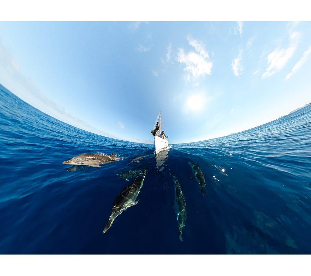 GOPRO MAX 360 5.6K Action Camera image number 7 of 12