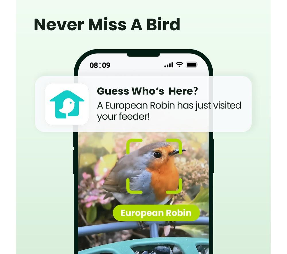 BIRDFY Feeder 2 Pro Smart Camera Bird Feeder with Solar Panel - Green image number 4 of 8