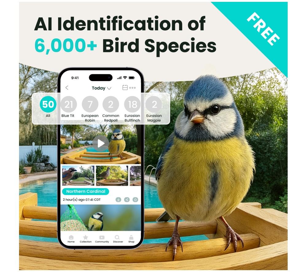 BIRDFY Smart Camera Bird Feeder with Solar Roof - Bamboo image number 2 of 11