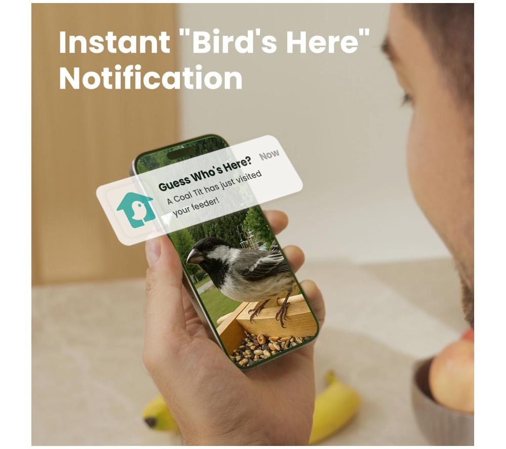 BIRDFY Smart Camera Bird Feeder with Solar Roof - Bamboo image number 4 of 11