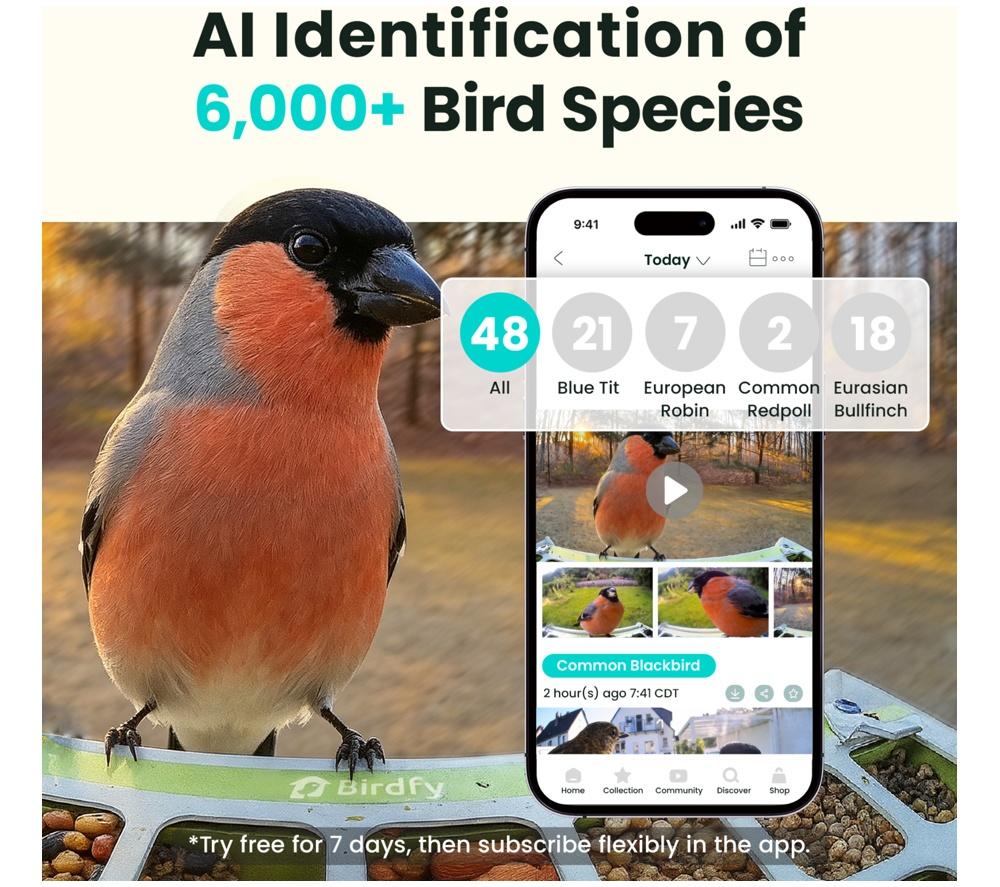 BIRDFY Smart Camera Bird Feeder with Solar Roof - Metal image number 2 of 10