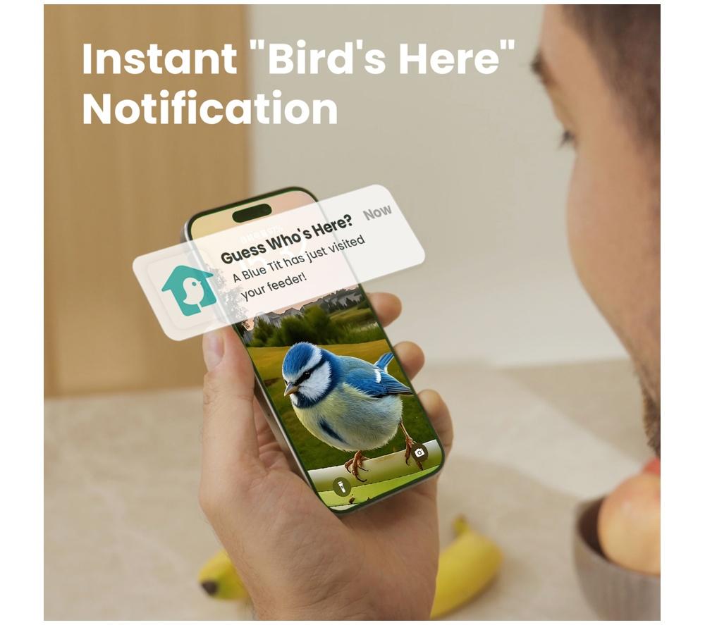 BIRDFY Smart Camera Bird Feeder with Solar Roof - Metal image number 6 of 10