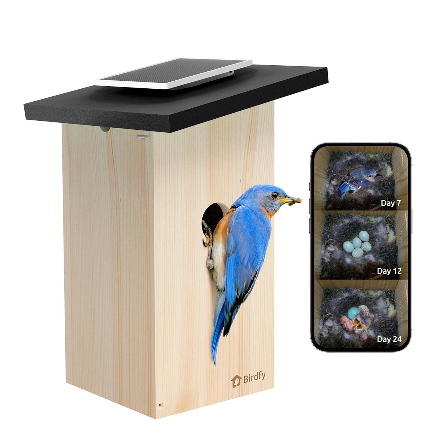 BIRDFY Ebony Lite Smart Bird House with Camera and Solar Panel - Fir