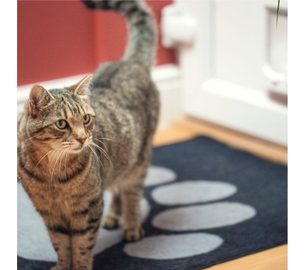 SUREFLAP Microchip Cat Flap - White image number 6 of 8