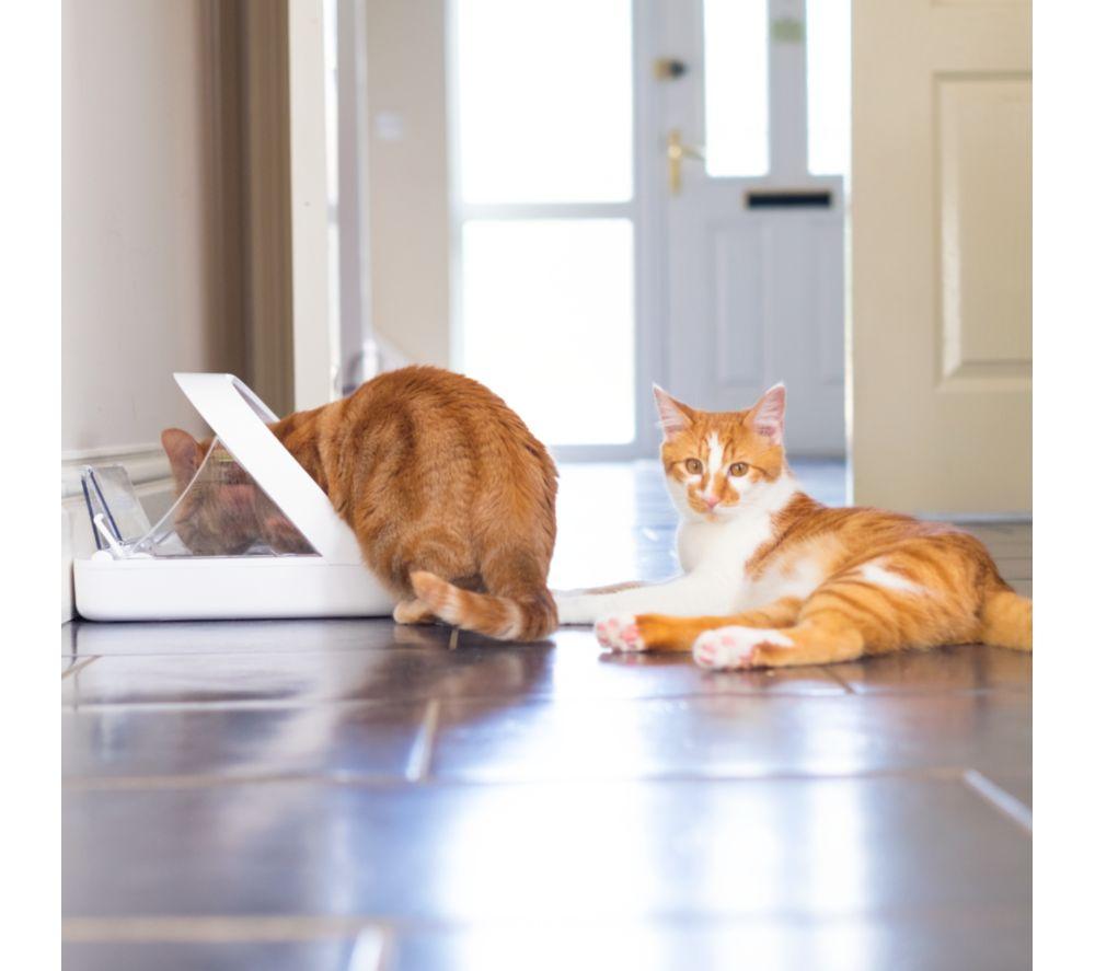 SUREFEED Microchip Pet Feeder - White image number 10 of 10